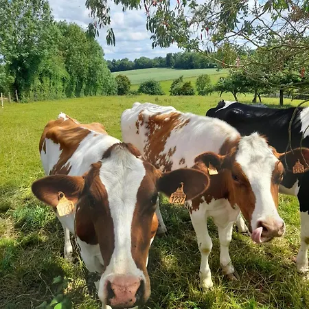 Πανσιόν La Source