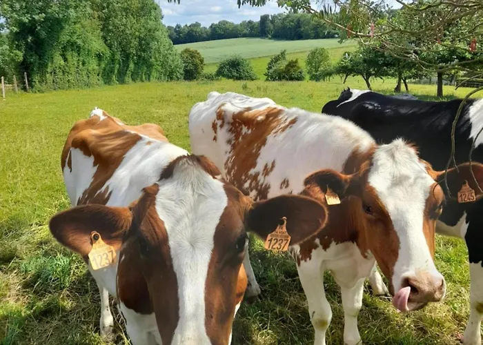 Guest house La Source